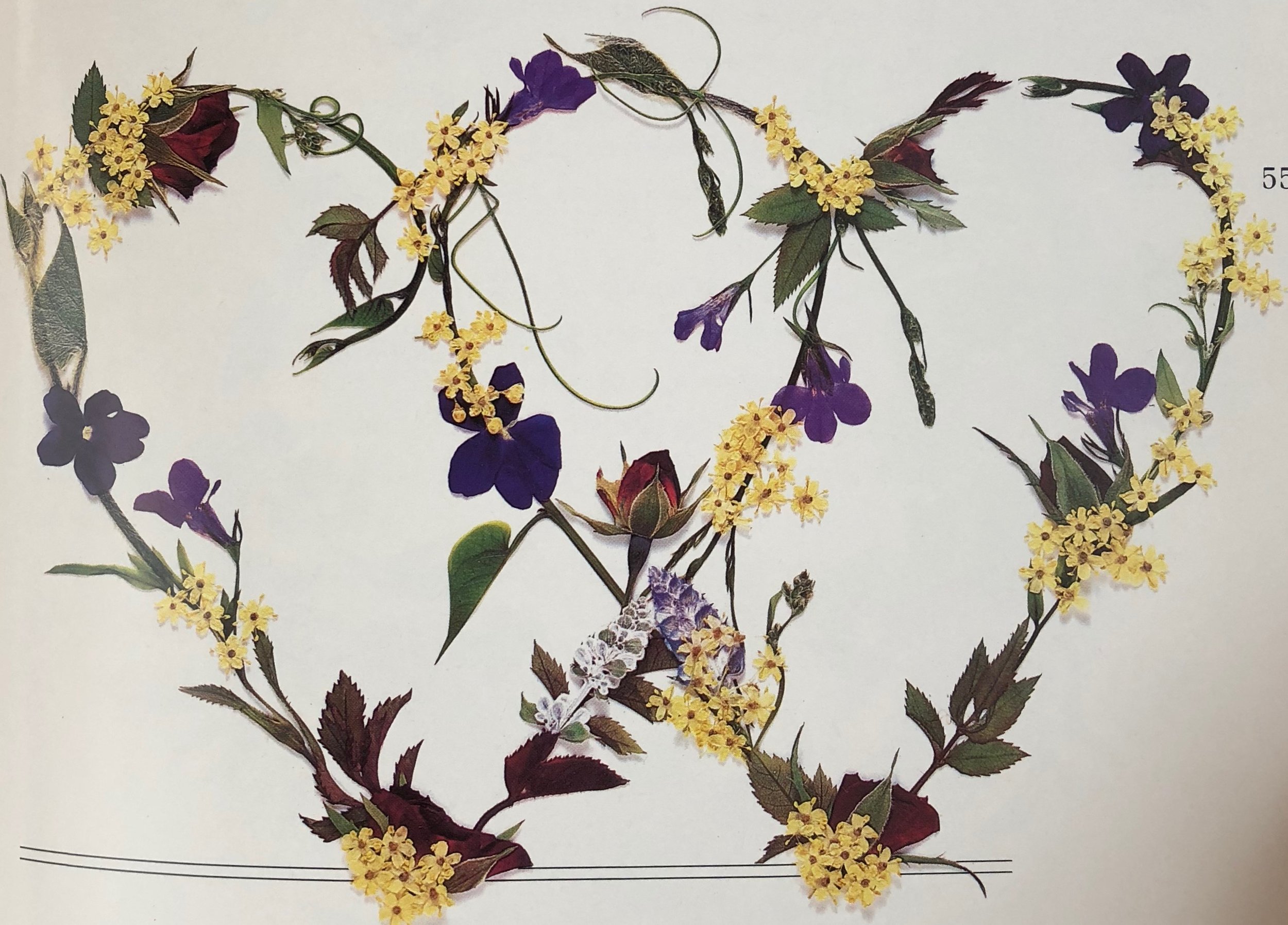 Victorian Pressed Flower NJ Family