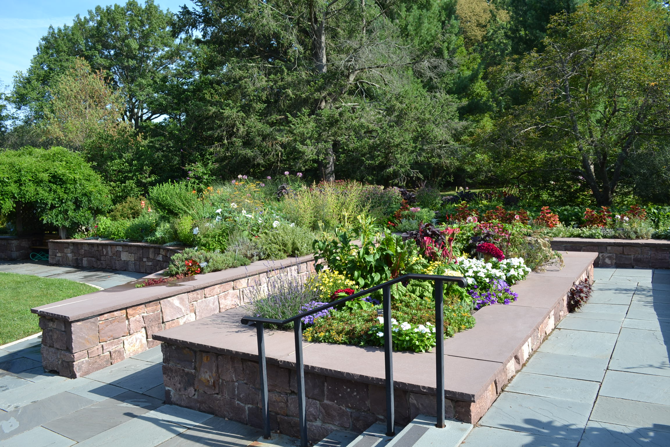 Discover the Benefits & Uses of Herns at Colonial Park Gardens NJ Family