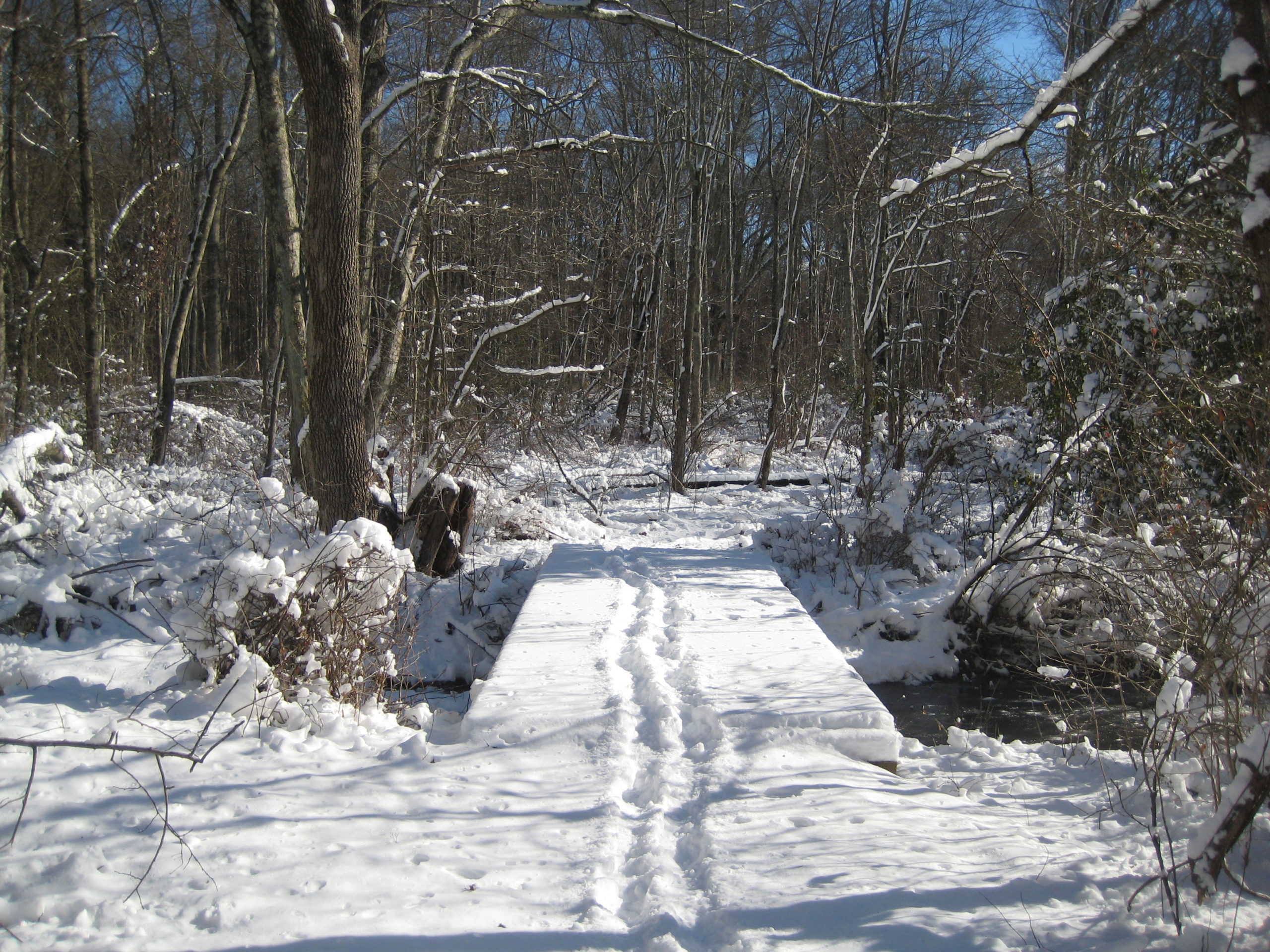 Winter Nature Walk at Teetertown NJ Family